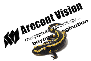 Оборудование Arecont Vision помогает исследовать жизнь пещерных саламандр